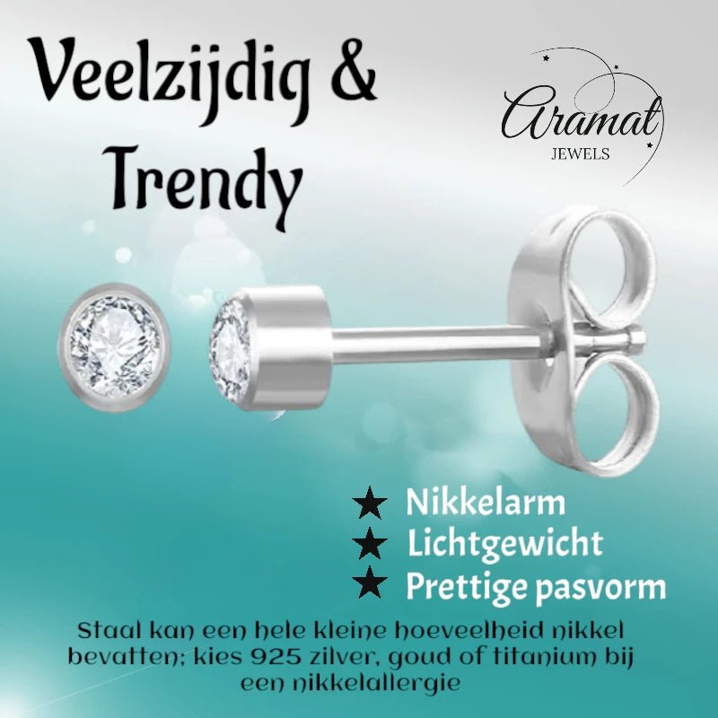 Stalen Kristallen Oorbellen - 3mm - Transparant - oor606 - XE30030 - Oorbellen kopen