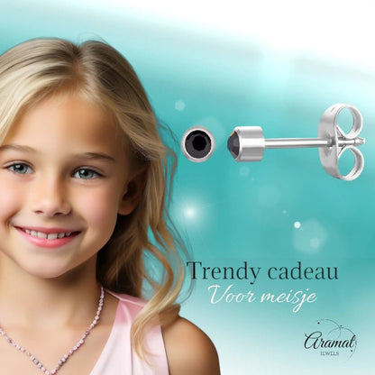 Stalen Kristallen Oorbellen - 3mm - Zwart - RVS - oor3052 - Oorbellen kopen