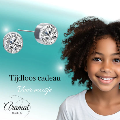 Stud Earrings – Steel Crystal Transparent Silver Color (6mm) 