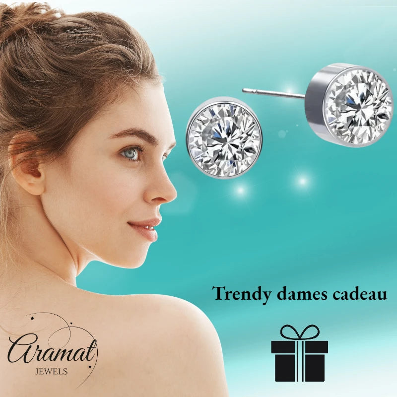 Stud Earrings – Steel Crystal Transparent Silver Color (6mm) 