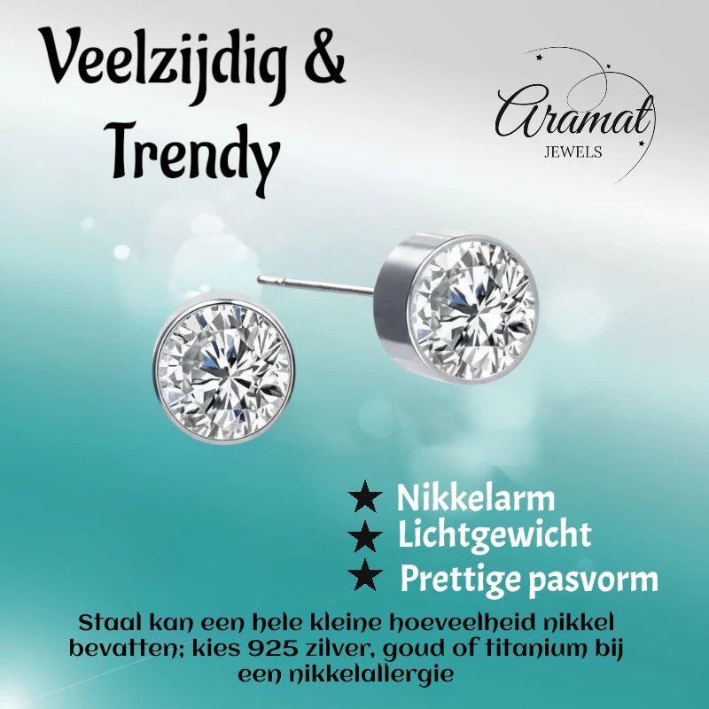 Stud Earrings – Steel Crystal Transparent Silver Color (6mm) 