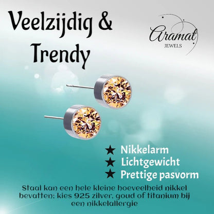 Stalen Oorbellen Champagne Kristal 6mm - oor1279 - Oorbellen kopen# - alles - cadeau