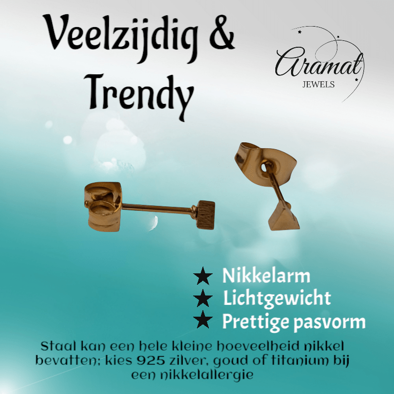 Stalen Oorbellen Driehoek Goudkleur – 3mm - Aramat Jewels - Oorbellen - cadeautip