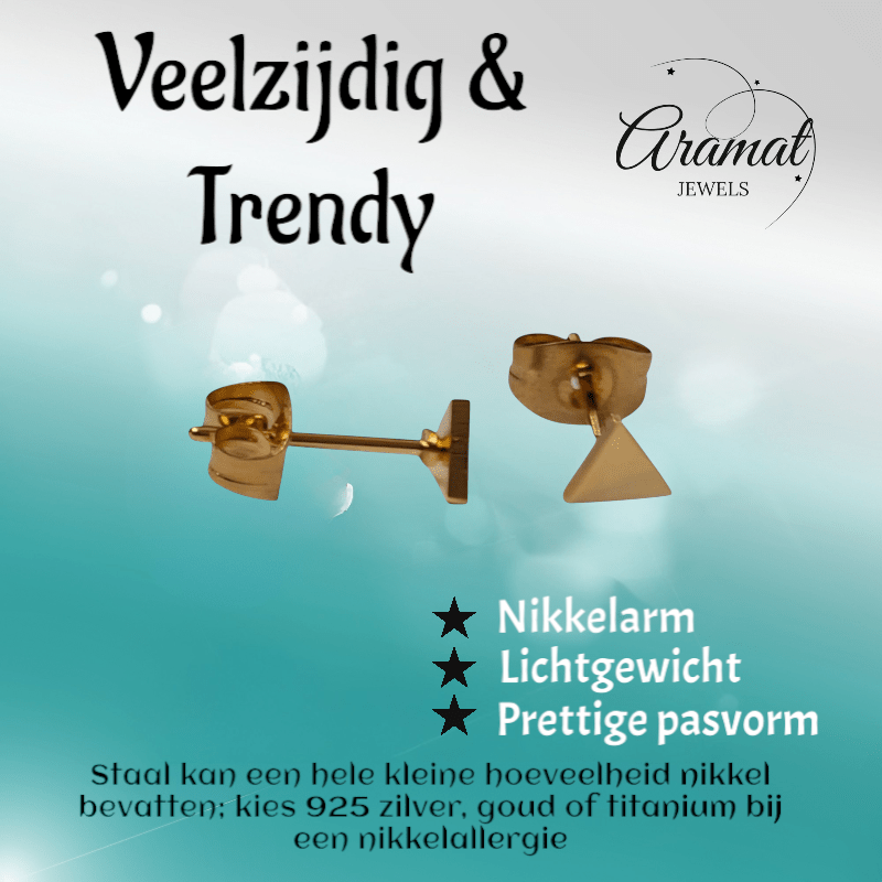 Stalen Oorbellen Driehoek Goudkleur – 4mm - Aramat Jewels - Oorbellen - cadeautip