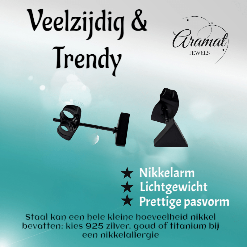 Stalen Oorbellen Driehoek Zwart – 6mm - Aramat Jewels - Oorbellen - cadeautip