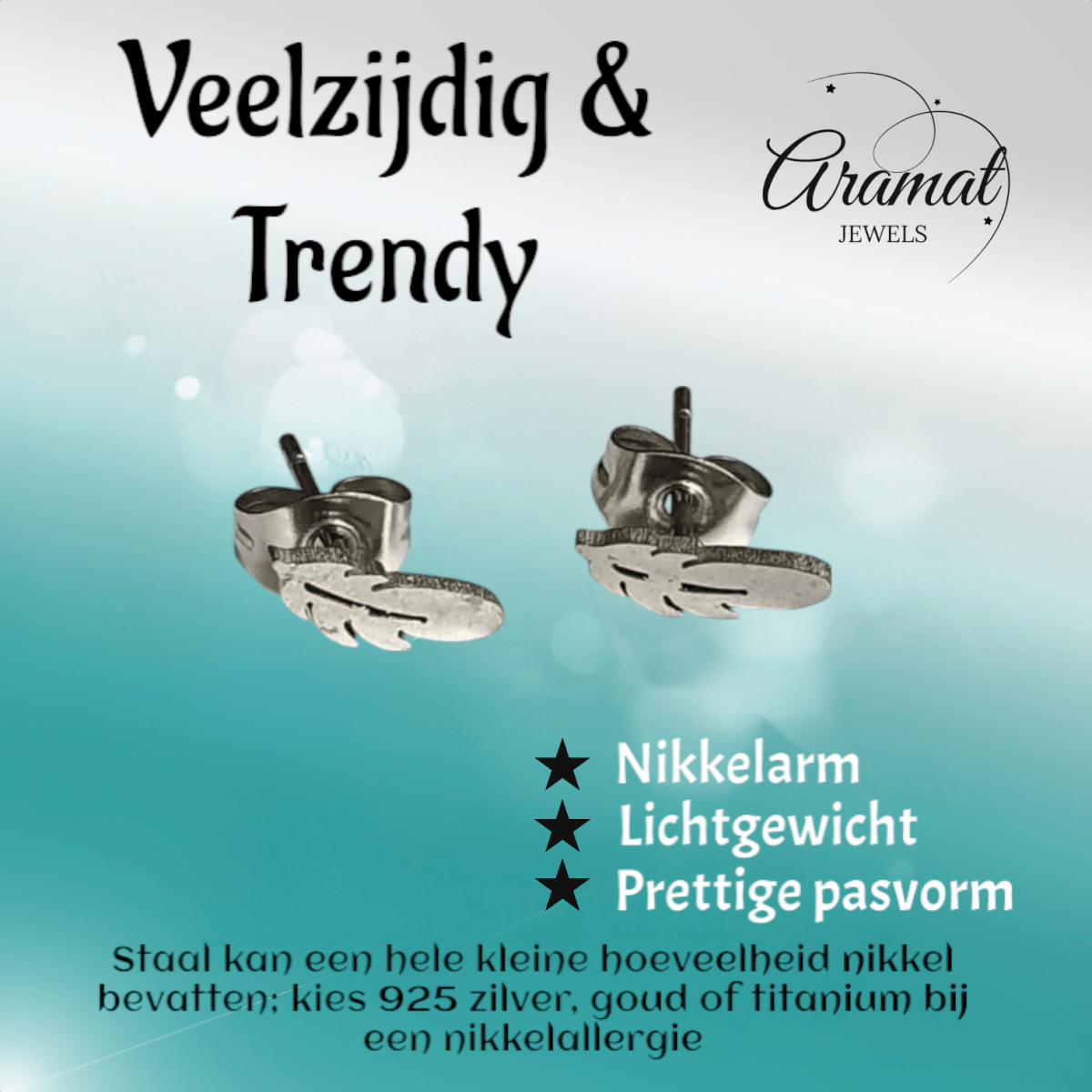 Stalen Oorstekers Veertjes Zilverkleur – 9x3mm - Aramat Jewels - Oorbellen - cadeautip