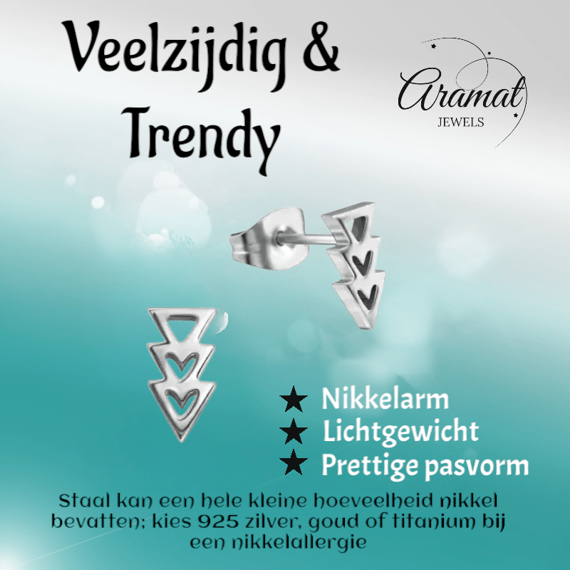 Stalen Pijltjes Oorbellen Zilverkleur 9x5mm - oor3318 - 29800 - Oorbellen kopen# - 9mm - alles - cadeau
