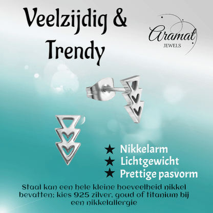 Stalen Pijltjes Oorbellen Zilverkleur 9x5mm - oor3318 - 29800 - Oorbellen kopen# - 9mm - alles - cadeau