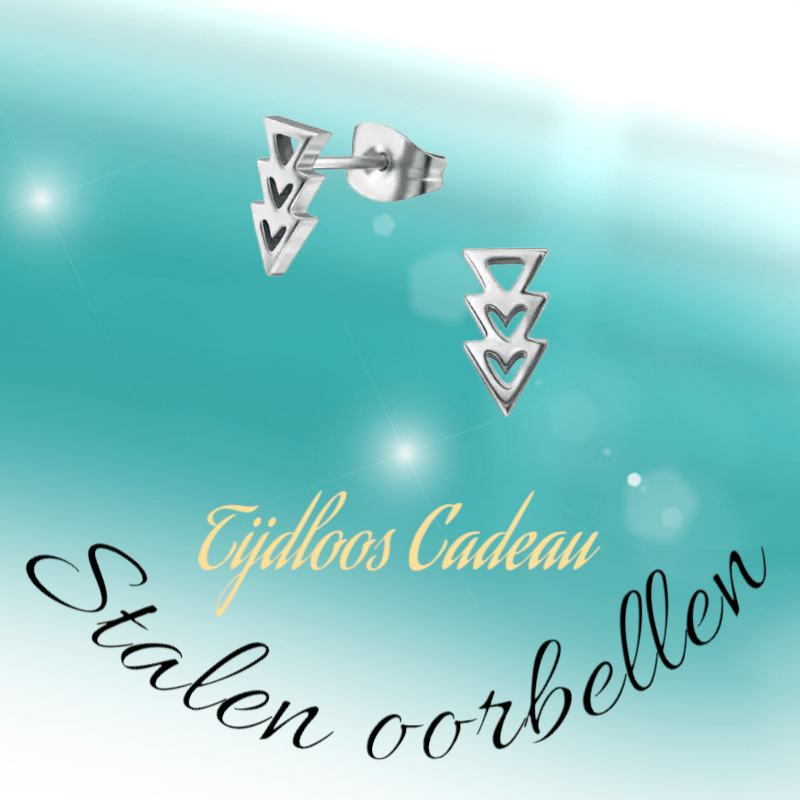 Stalen Pijltjes Oorbellen Zilverkleur 9x5mm - oor3318 - 29800 - Oorbellen kopen# - 9mm - alles - cadeau