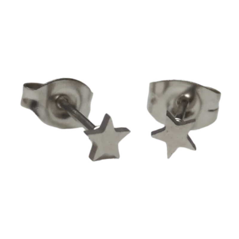 Paar zilveren stervormige oorbellen.