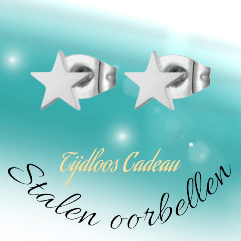 Ster oorstekers zilverkleur RVS – 6mm tijdloos - Aramat Jewels - Oorbellen - cadeautip