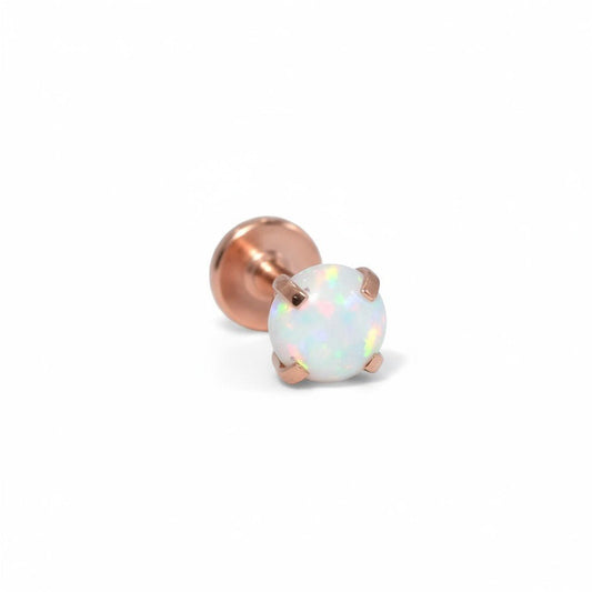 Adramata 18 Stuks 20 G Helix Piercing G23 Titanium Oorringen Conch Hypoallergeen Kraakbeen Oorbellen Set Zilver Goud Tragus Voor Dames Heren Adramata 18 Stuks 20 G Helix Piercing G23 Titanium Oorringen Conch Hypoallergeen Kraakbeen Oorbellen Set Zilver Goud Tragus Voor Dames Heren