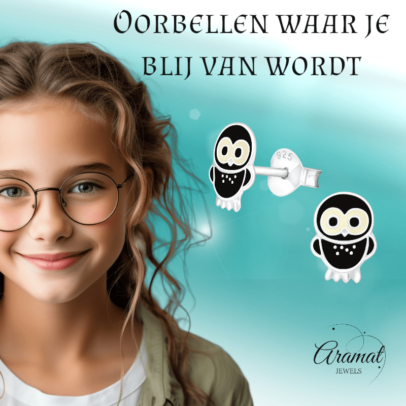 Trendy Zilveren Uiltjes Oorbellen - Zwart Emaille - oor257 - 3679 - Oorbellen kopen