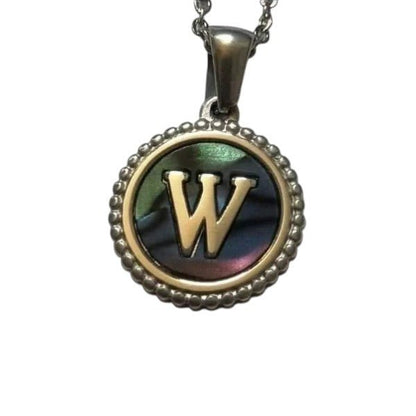 Unieke Stalen Initiaal Ketting met Abalone Schelp - Zilverkleur - 45cm - Aramat Jewels - Halskettingen - cadeautip