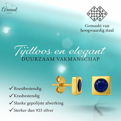 Vierkante oorbellen met donkerblauwe zirkonia – 6 mm - oor2785 - XE71676 - Oorbellen kopen# - 6mm - alles - blauw