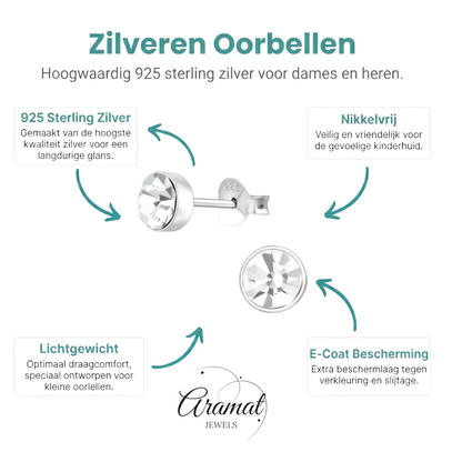 Zilveren kristal oorstekers – 5 mm - Transparante steen - Aramat Jewels - Oorbellen - cadeautip