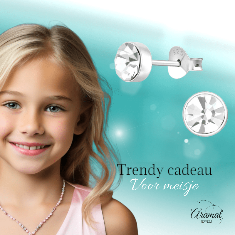 Zilveren kristal oorstekers – 5 mm - Transparante steen - oor219 - 36267 - Oorbellen kopen# - 5mm - 925 Zilver - alles