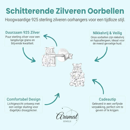 Zilveren Oorbellen met Zirkonia Steentjes - Aramat Jewels - Oorbellen - cadeautip