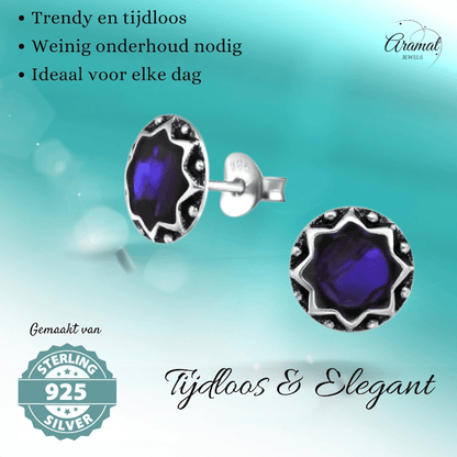 Zilveren Paarse Abalone Dames Oorbellen 9 mm - oor5265 - 30903 - Oorbellen kopen# - 925 Zilver - 9mm - Abalone