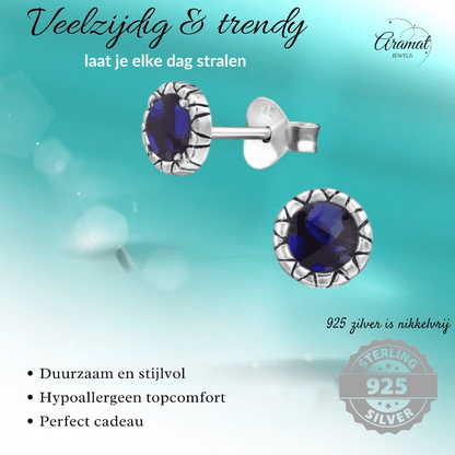 Zilveren Paarse Abalone Oorbellen 5 mm - oor5185 - 30950 - Oorbellen kopen# - 5mm - 925 Zilver - Abalone