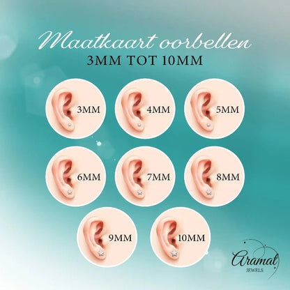 Zilverkleurige RVS Oorstekers Geboortesteen Juli - Rood/Oranje - 4 mm - Aramat Jewels - Oorbellen - cadeautip
