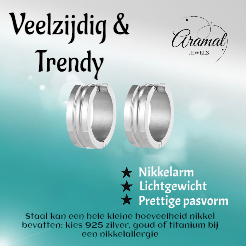 Zilverkleurige Stalen Oorbellen - Modern Design - oor5802 - se42134 - Oorringen kopen# - 19mm - 7mm - alles