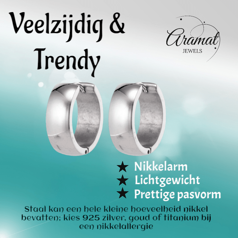 Zilverkleurige stalen oorringen 20 mm - oor5829 - se43133 - Oorringen kopen# - 20mm - alles - cadeau