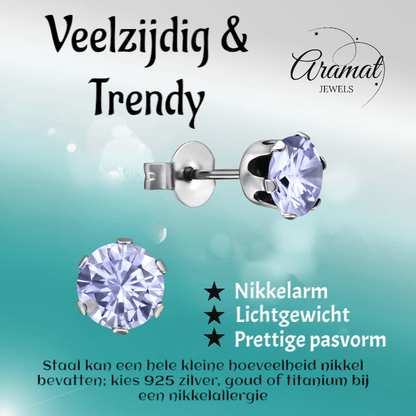 Zilverkleurige Zirkonia Oorbellen 6mm Lila - Aramat Jewels - Oorbellen - cadeautip