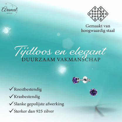 Zirkonia Oorbellen 4mm Paars RVS - Aramat Jewels - Oorbellen - cadeautip