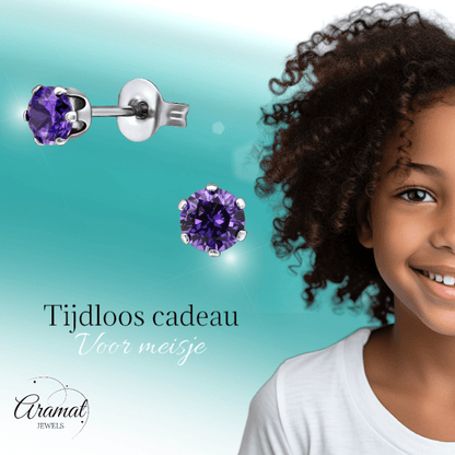 Zirkonia Oorbellen 4mm Paars RVS - Aramat Jewels - Oorbellen - cadeautip