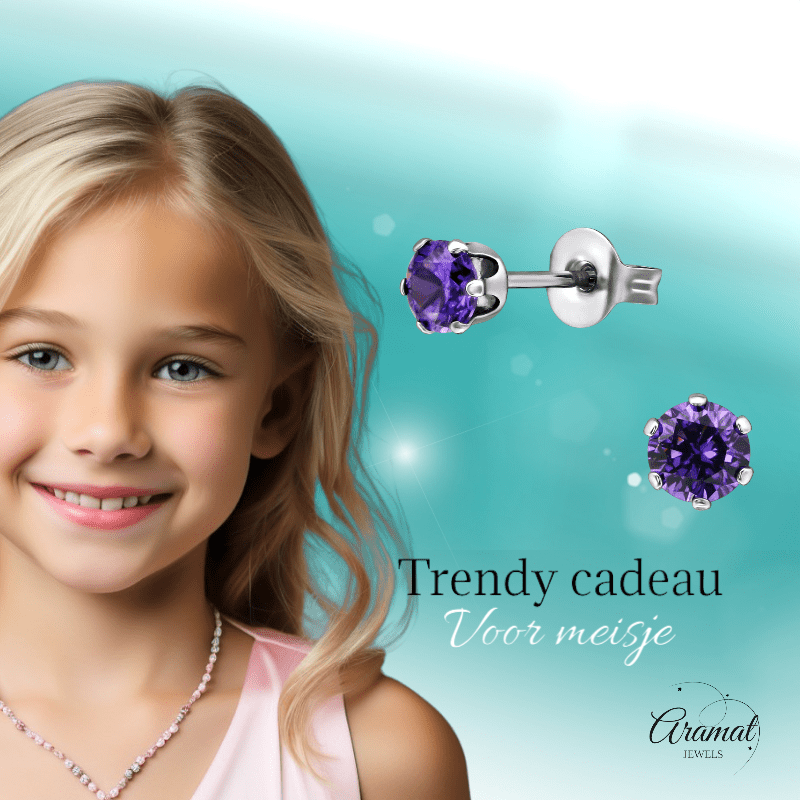 Zirkonia Oorbellen 4mm Paars RVS - Aramat Jewels - Oorbellen - cadeautip
