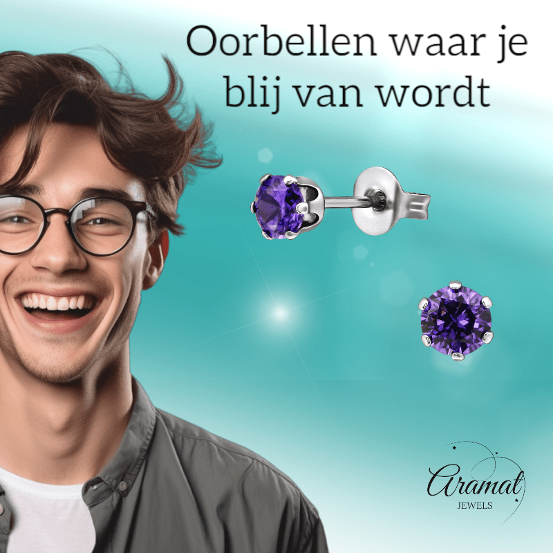 Zirkonia Oorbellen 4mm Paars RVS - Aramat Jewels - Oorbellen - cadeautip