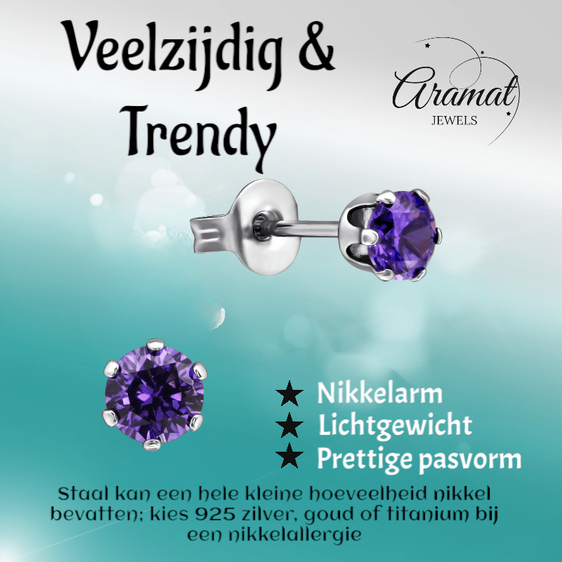 Zirkonia Oorbellen 4mm Paars RVS - Aramat Jewels - Oorbellen - cadeautip