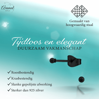 Zwarte Bolletjes Oorbellen 2mm - oor2722 - 13880 - Oorbellen kopen# - 2mm - alles - bolletjes