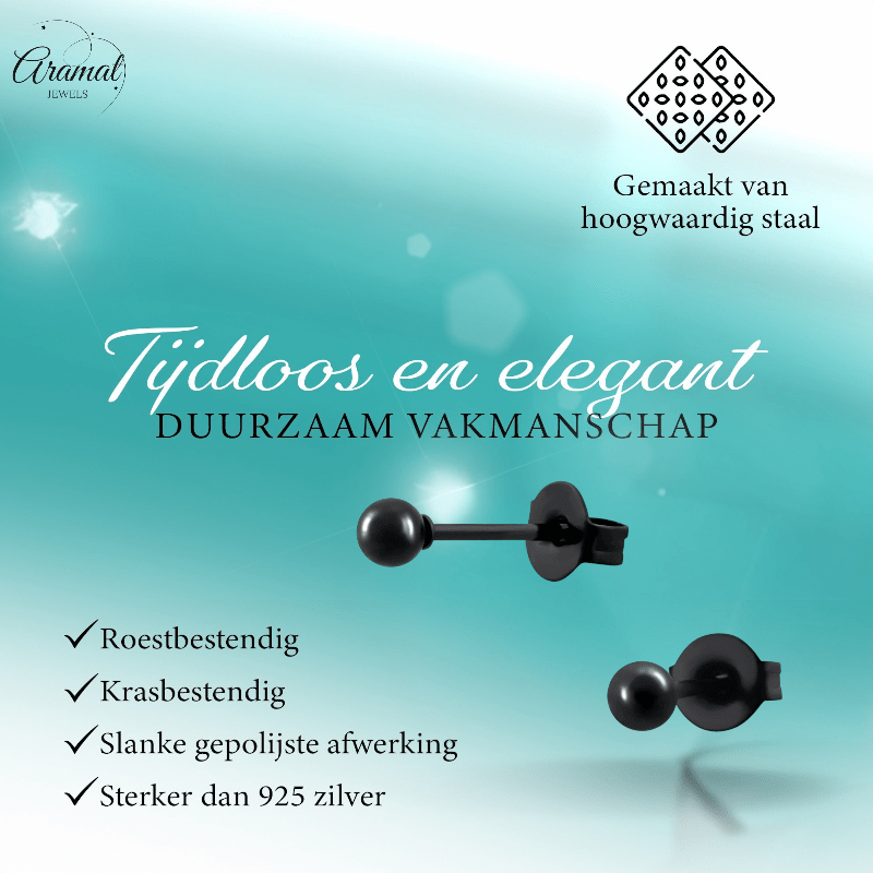 Zwarte Bolletjes Oorbellen 3mm - oor2723 - 13881 - Oorbellen kopen# - 3mm - alles - bolletjes