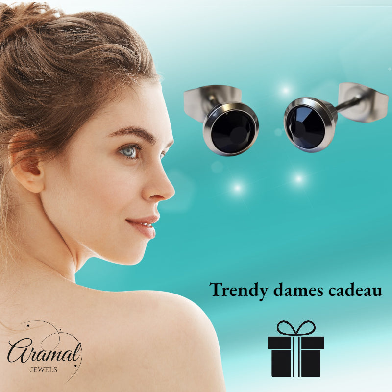 Earrings – Steel Black Crystal Silver Colored (6mm) 