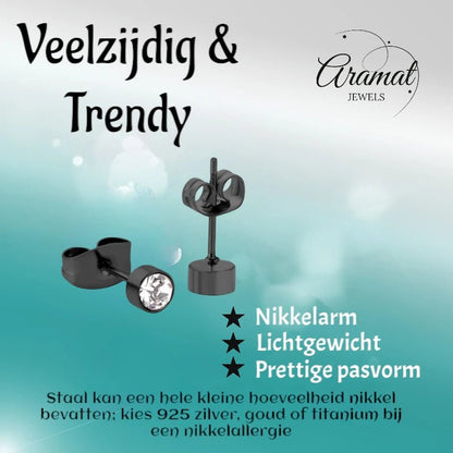 Zwarte Oorbellen met Kristal | 4mm Uniseks - oor3749 - Oorbellen kopen# - 4mm - alles