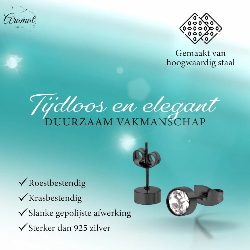 Zwarte Stalen Oorbellen met Kristal | 6mm - oor3751 - Oorbellen kopen# - 6mm - alles