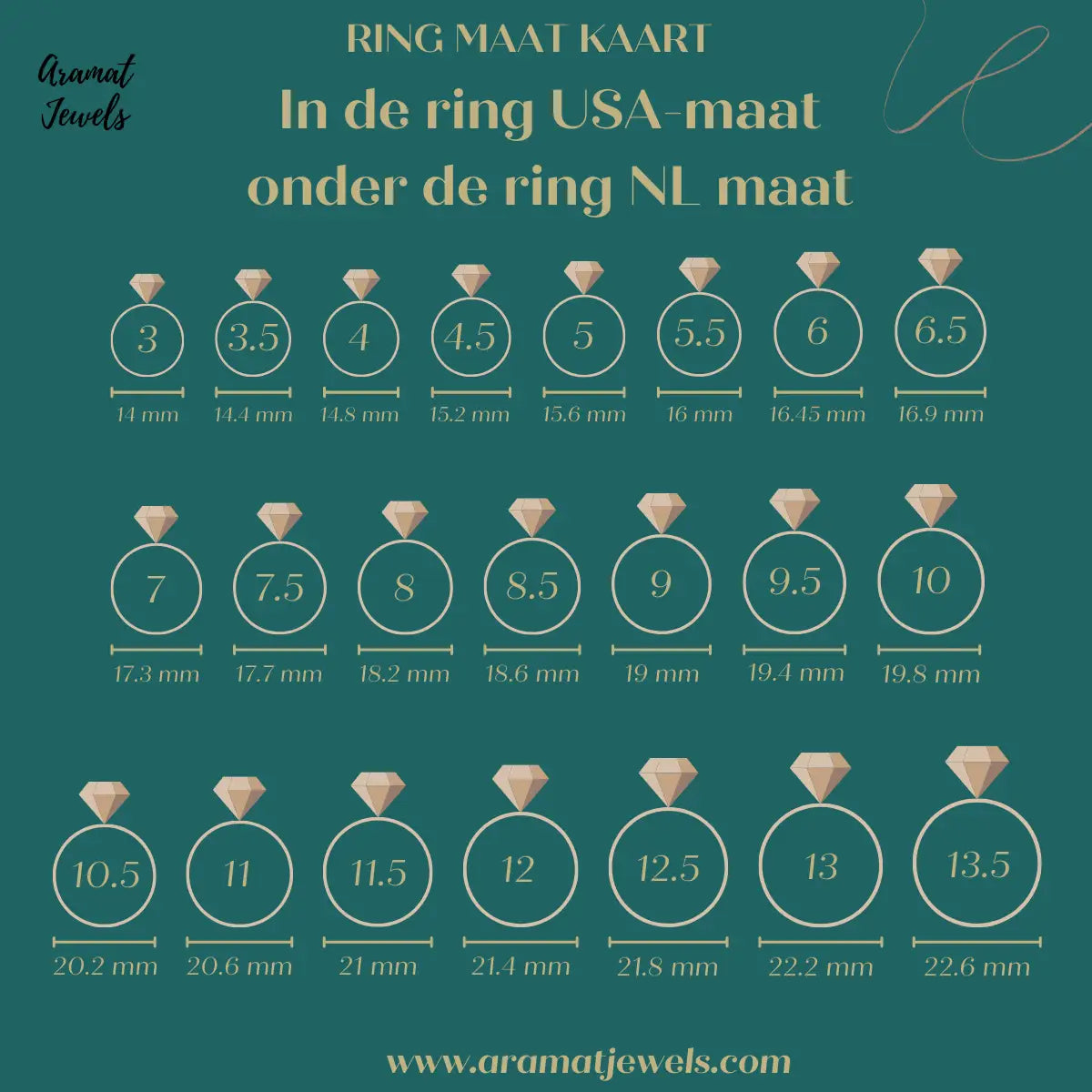 instinct Opa Onnauwkeurig Echt Zilveren Smalle Ring dames Boho stijl – Aramat Jewels